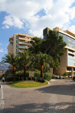 Harmony BigMontenegro